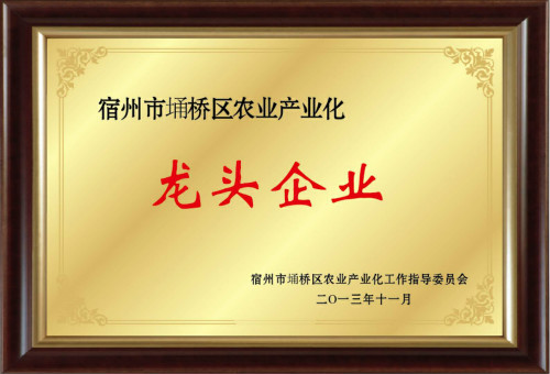 农业产业化龙头企业